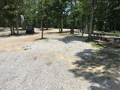 Image of Campsite 12